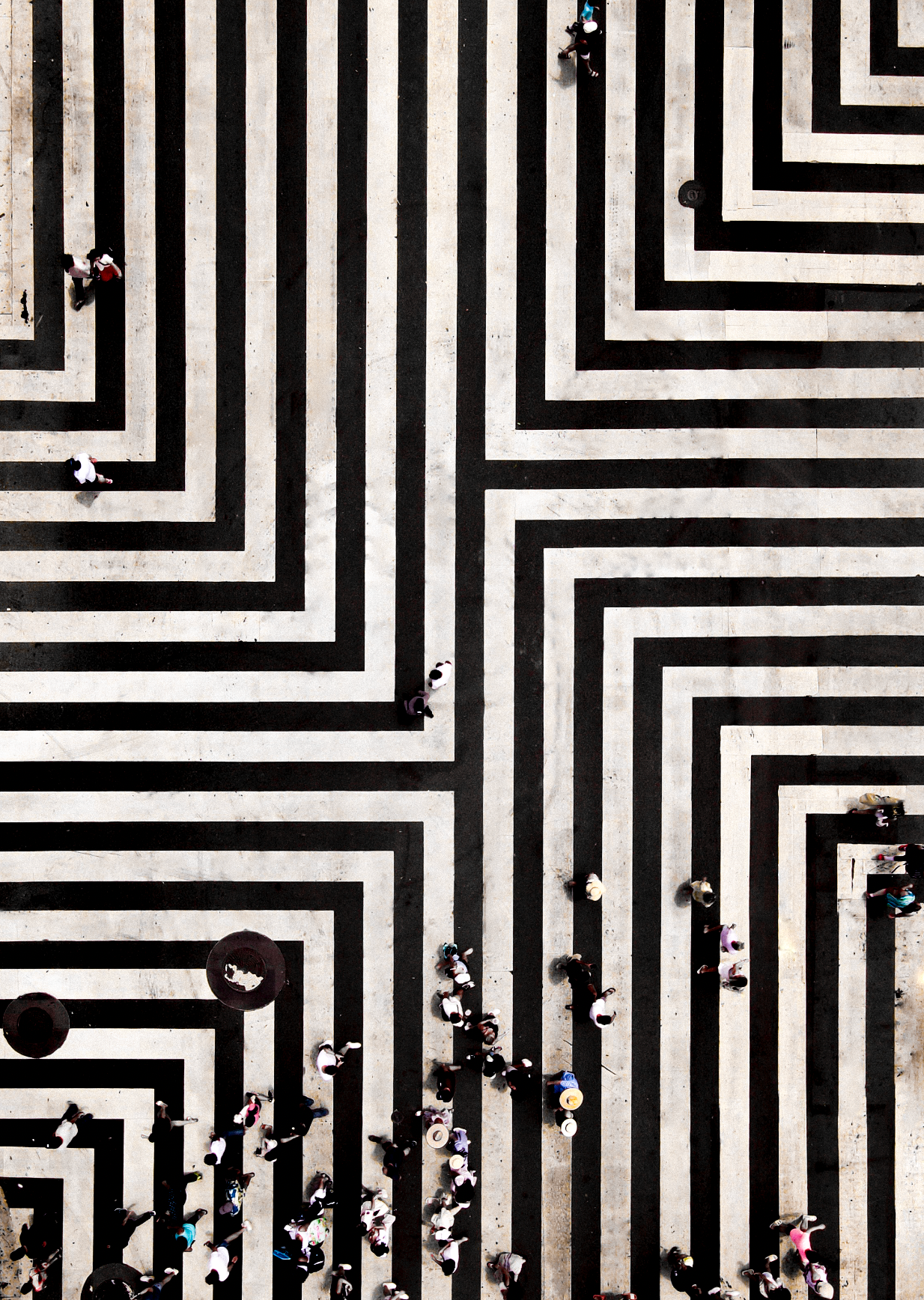 Zebra Crossing