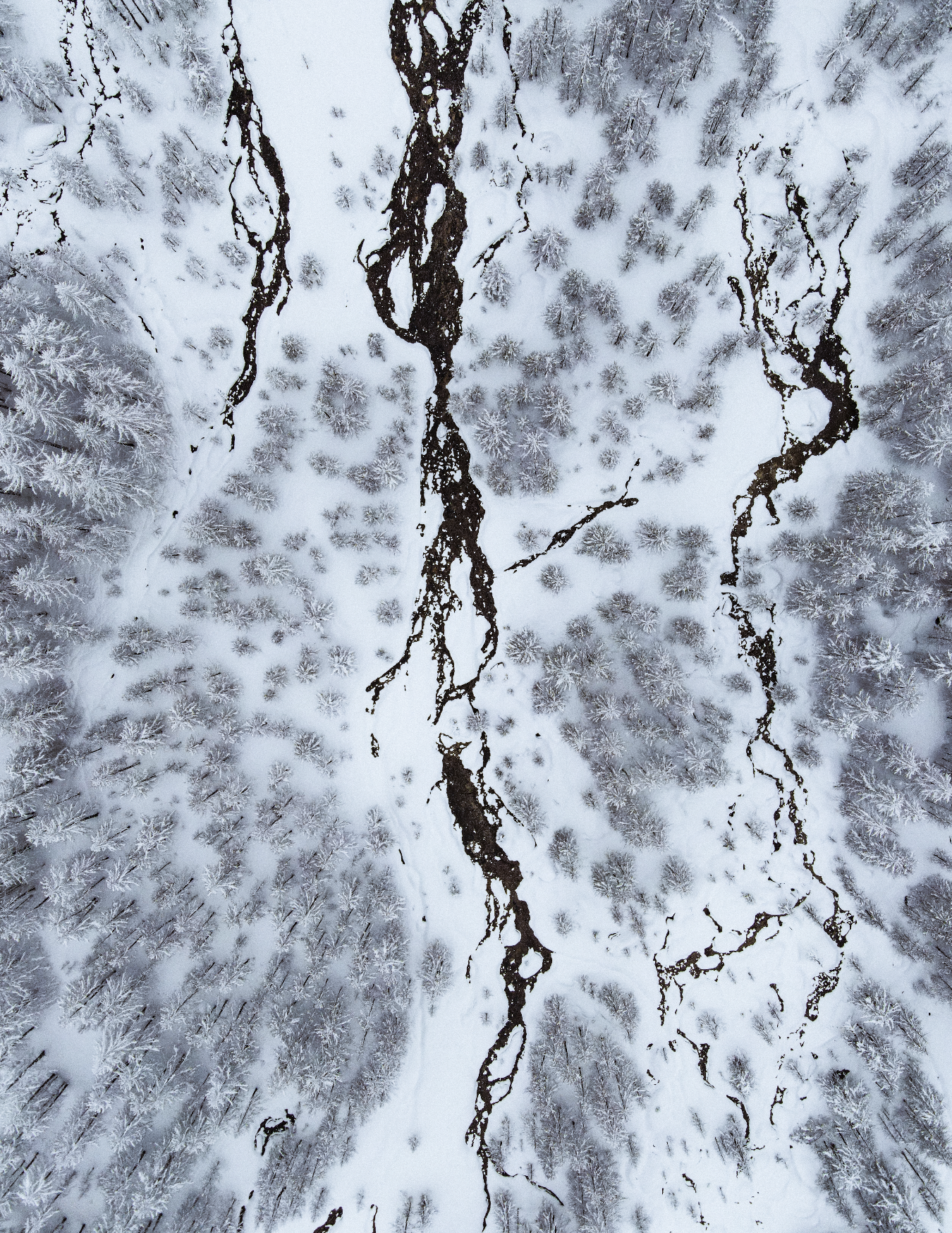 Frozen Alps